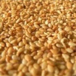 Close-up of scattered sesame seeds.
