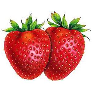 Two ripe strawberries with green leaves.