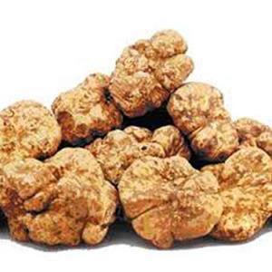 Pile of fresh white truffles on display.