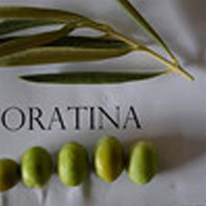 Green olives and leaves on white surface.