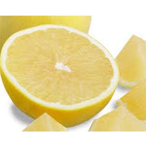 Sliced lemon with wedges on white background.
