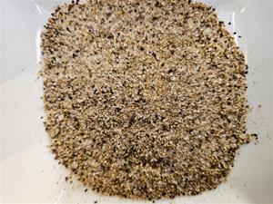Ground black pepper on a white plate.
